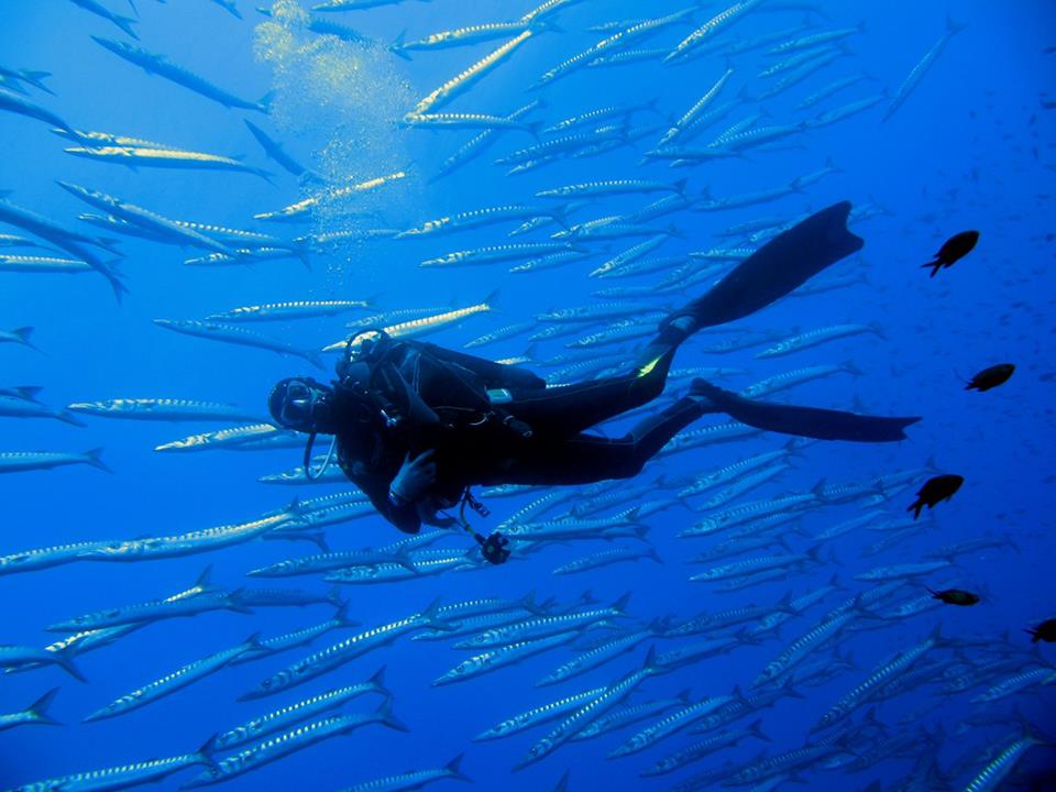 snorkeling sicilia - Catania