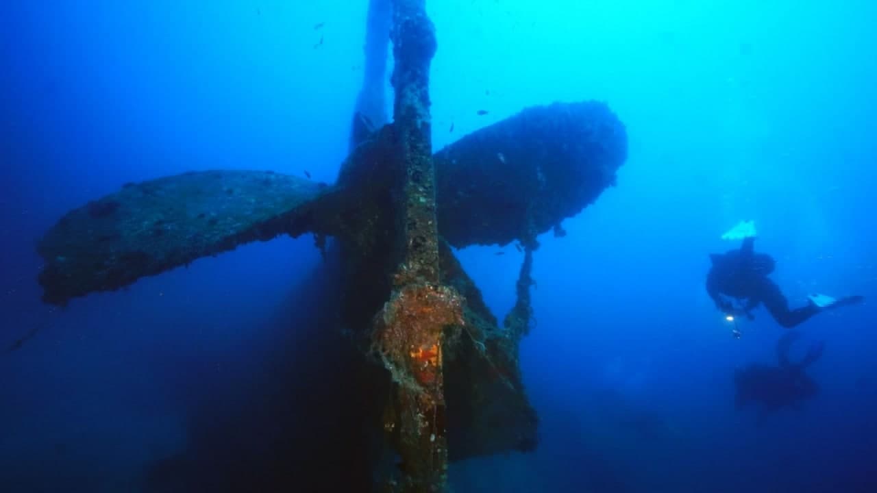 scuba-diving-school-catania-relitto-fondali